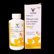 Salcy